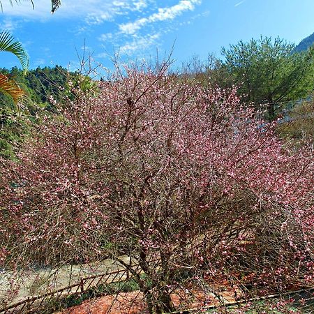 Li Jin Kuan Homestay Nanzhuang Luaran gambar