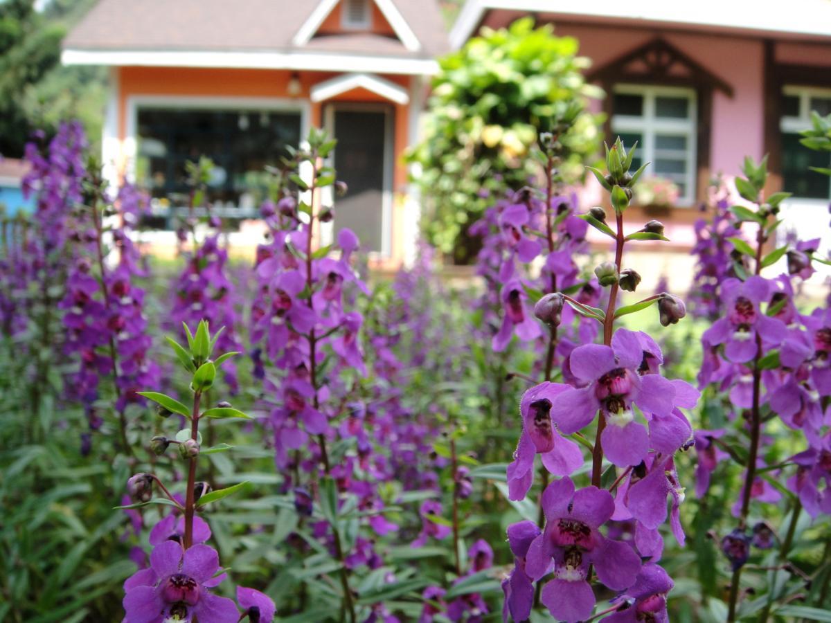 Li Jin Kuan Homestay Nanzhuang Luaran gambar